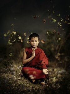 monje-budista-joven-hojas-volando