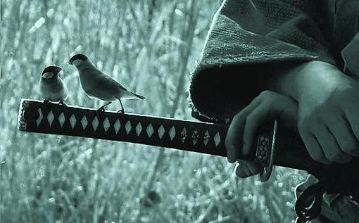 espada-samurai-pajaros